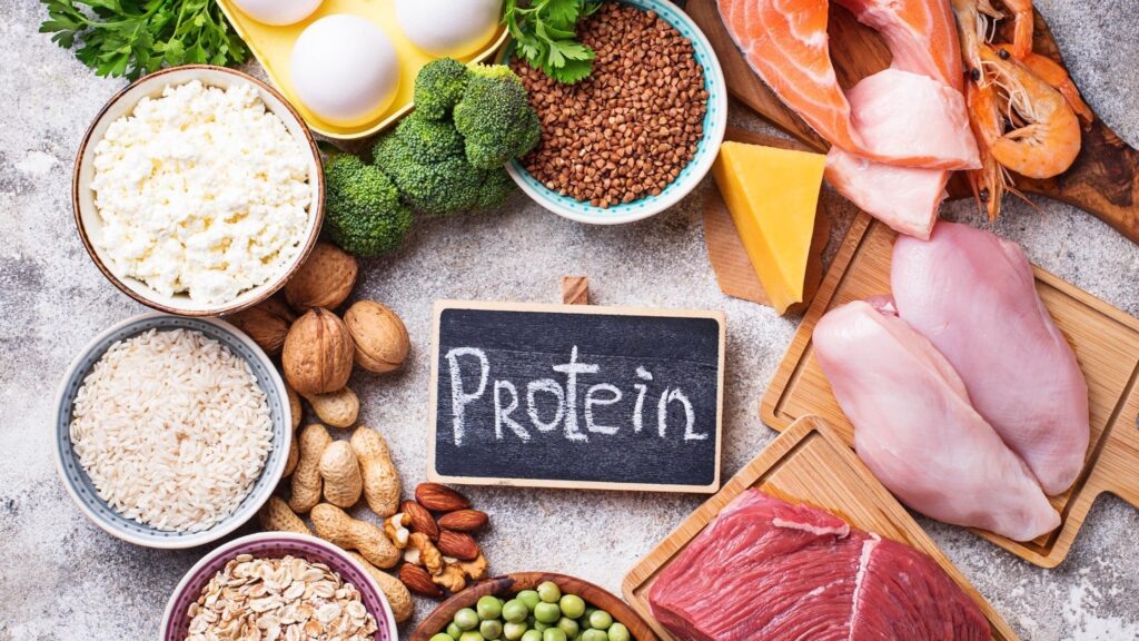 Protein