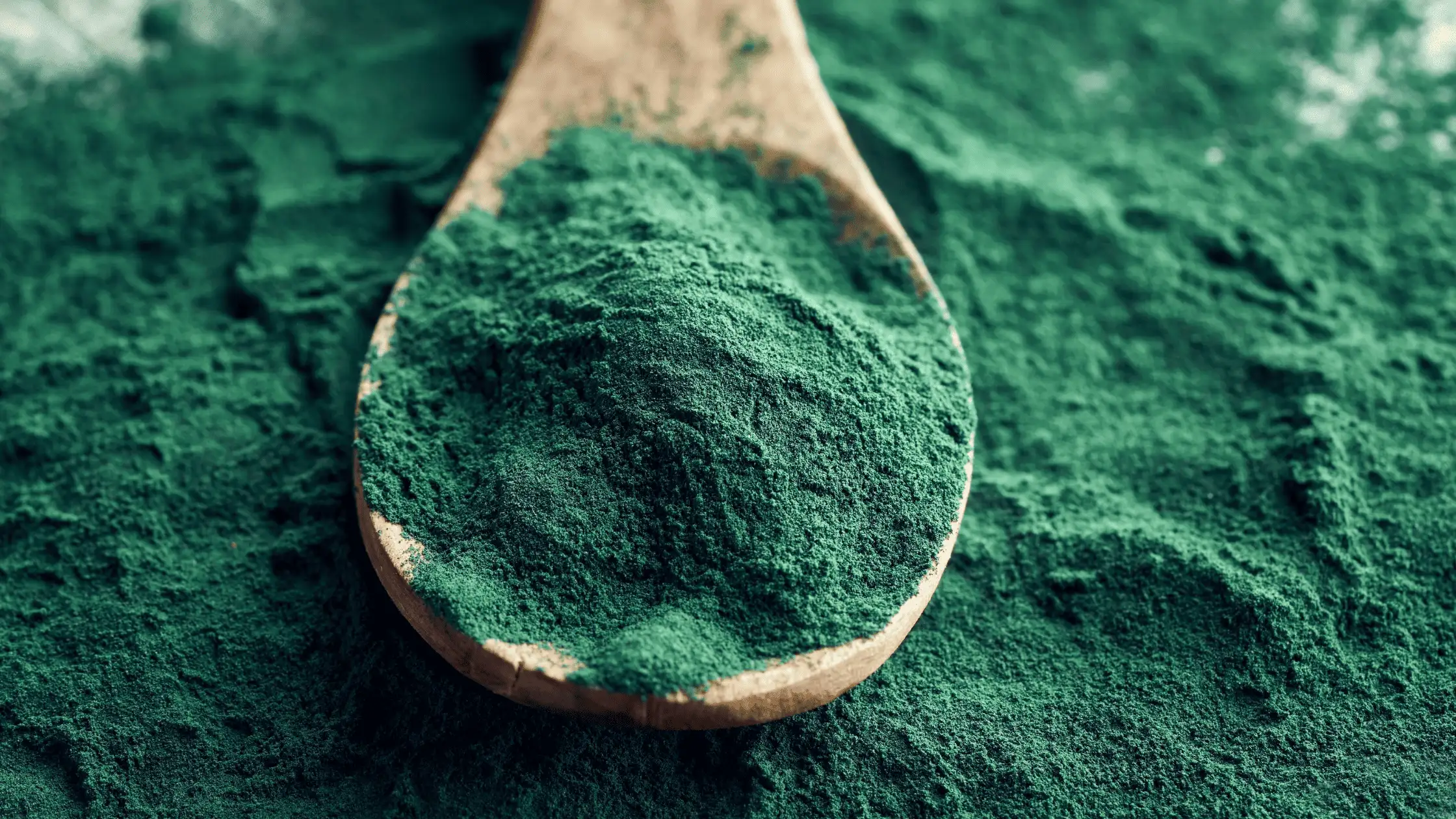 Spirulina Pulver
