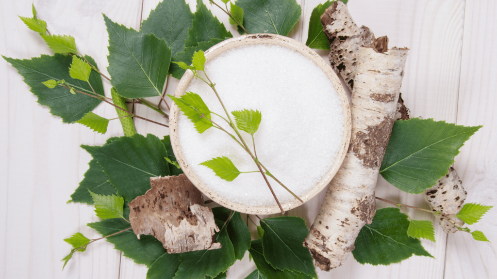 Xylit Zuckerersatz für zuckerfreie Ernährung