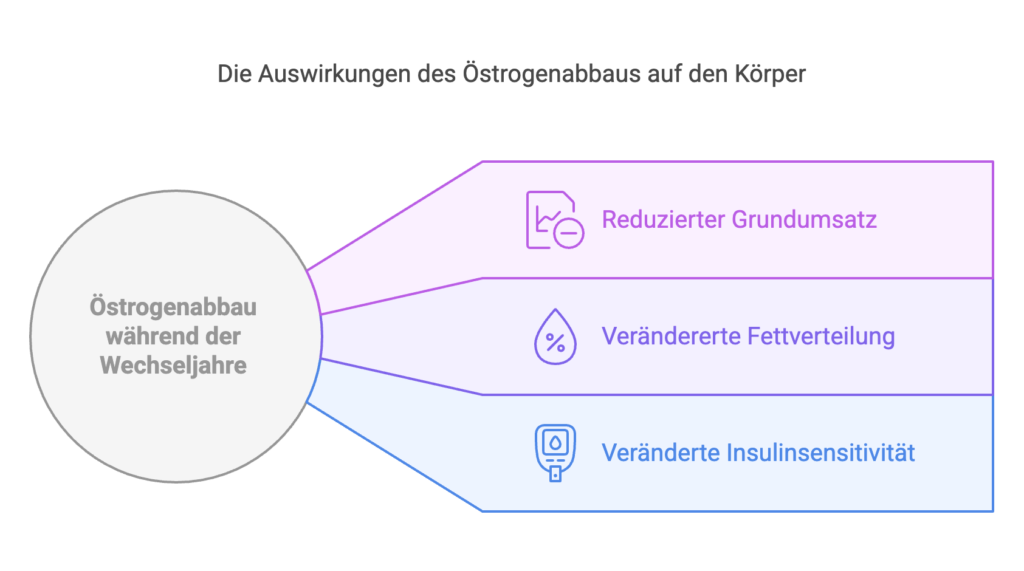 Oestrogenabbau grafik