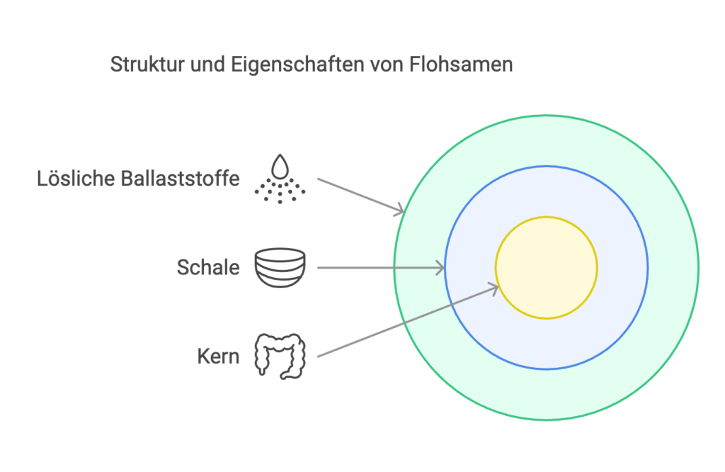 Struktur Flohsamen grafik