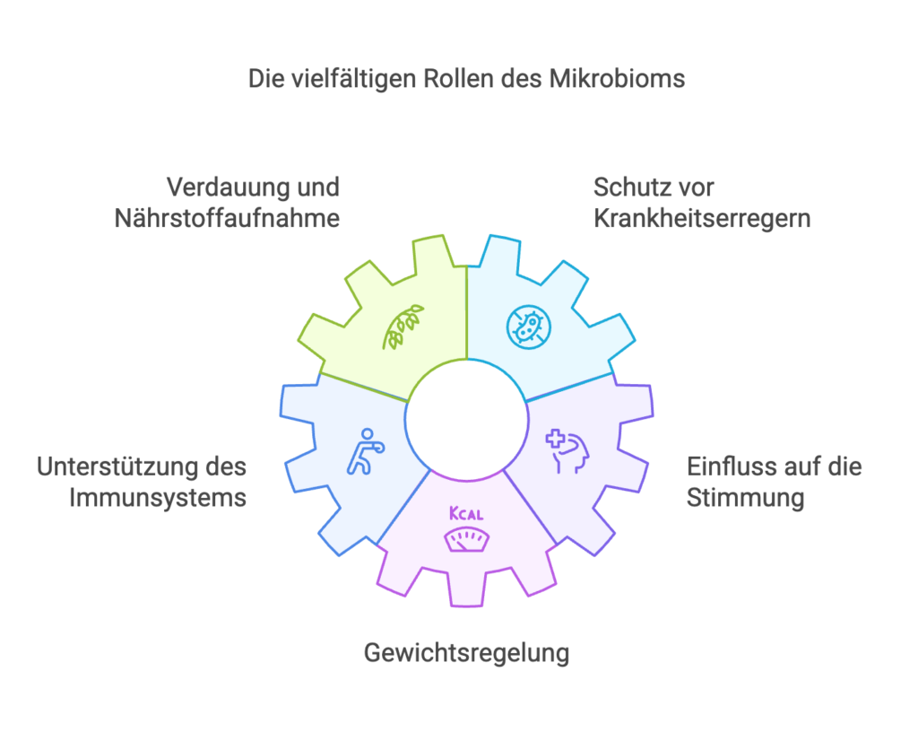 rolle mikrobiom grafik