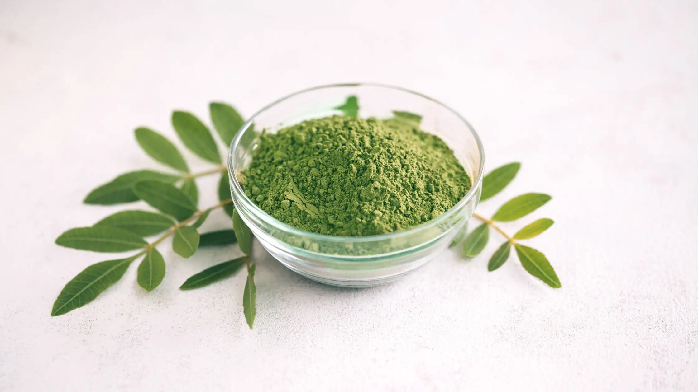 Moringa.jpg