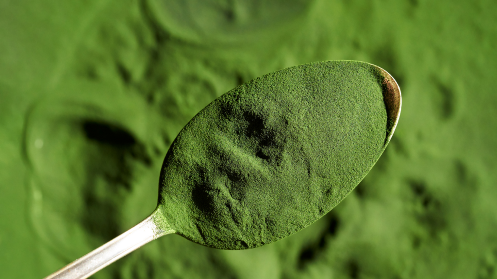 Chlorella Pulver auf einem Löffel Chlorella Pulver auf einem Löffel