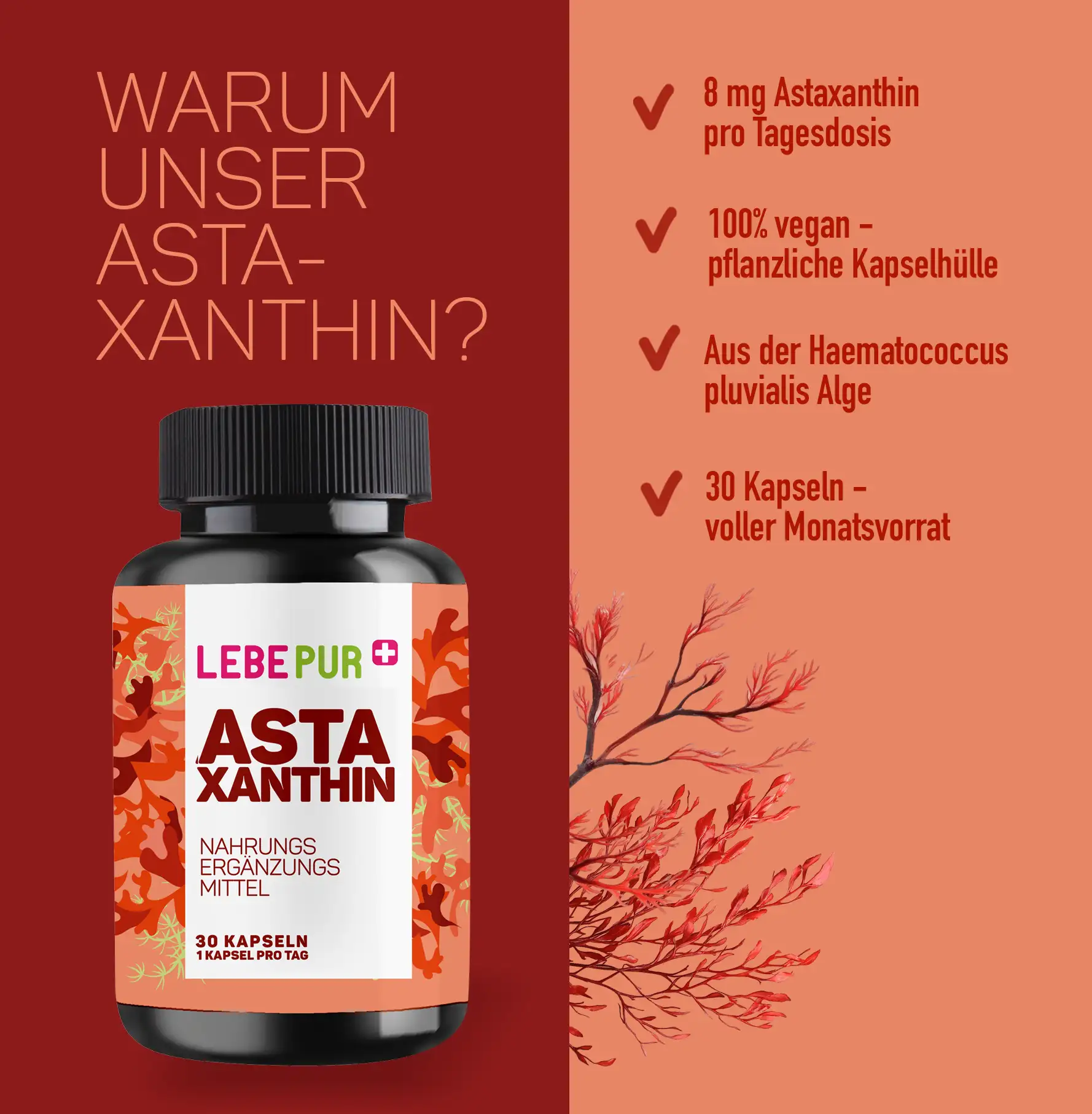 Vorteile Lebepur Astaxanthin