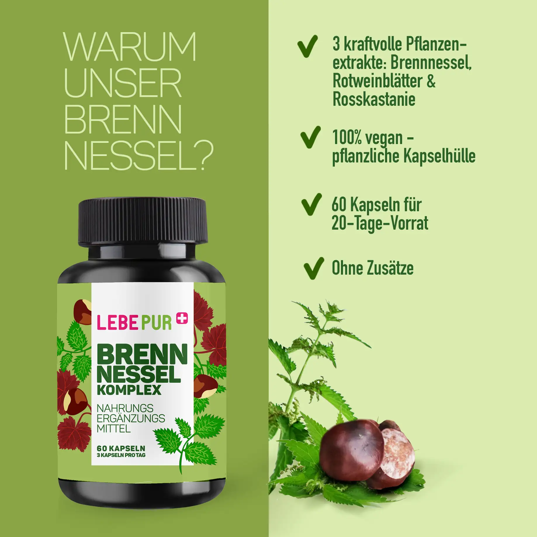 Vorteile Lebepur Brennessel Kapseln