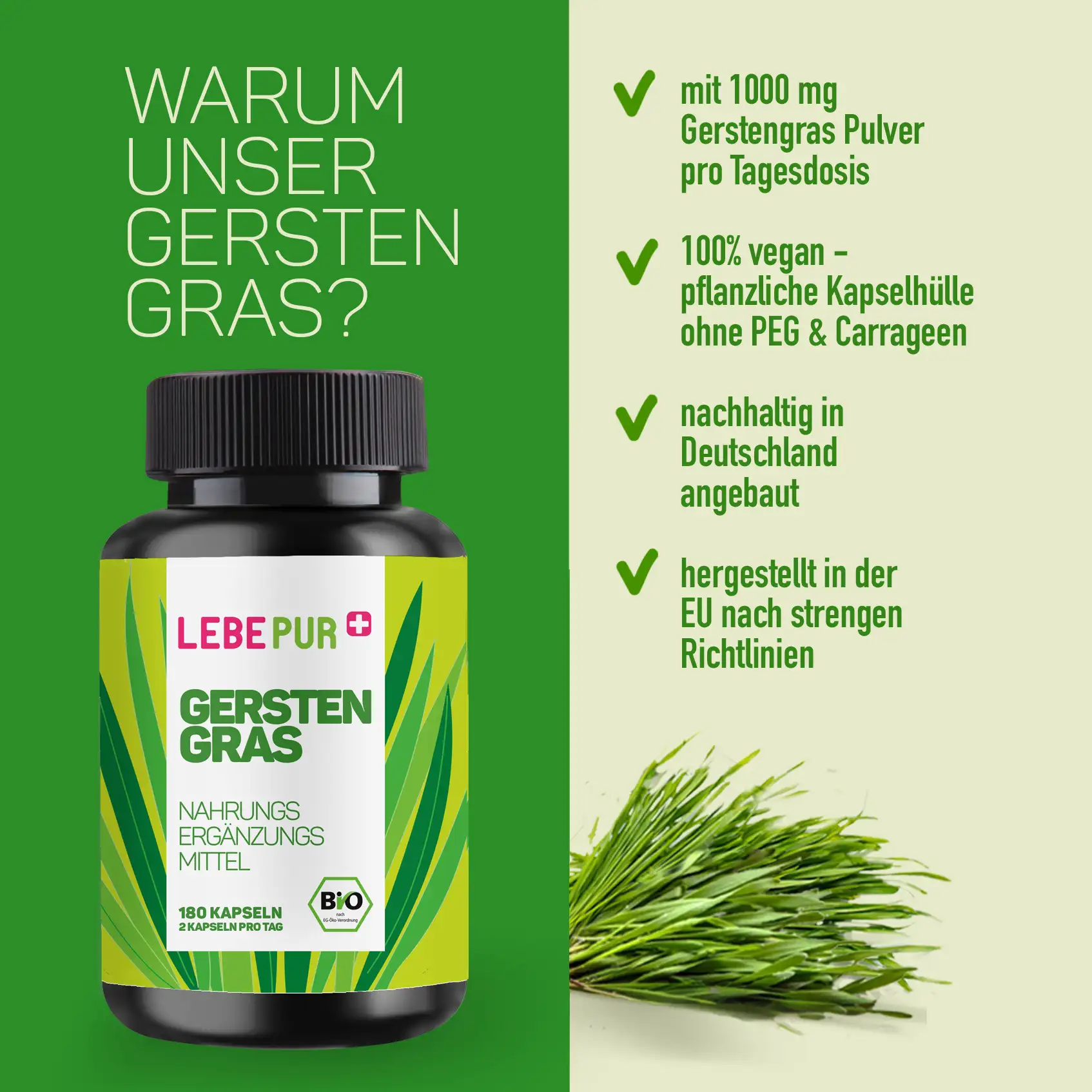 Vorteile Lebepur Gerstengras Kapseln 180 Stück Dose