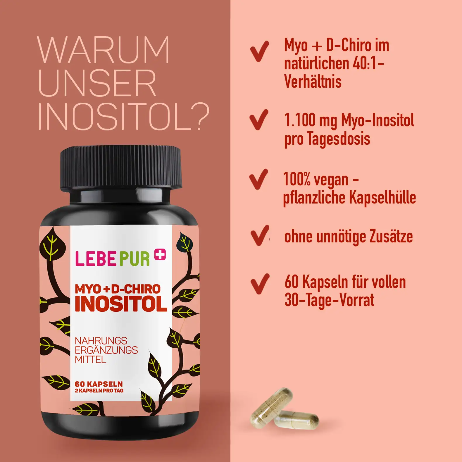 Vorteile Lebepur Inositol Kapseln