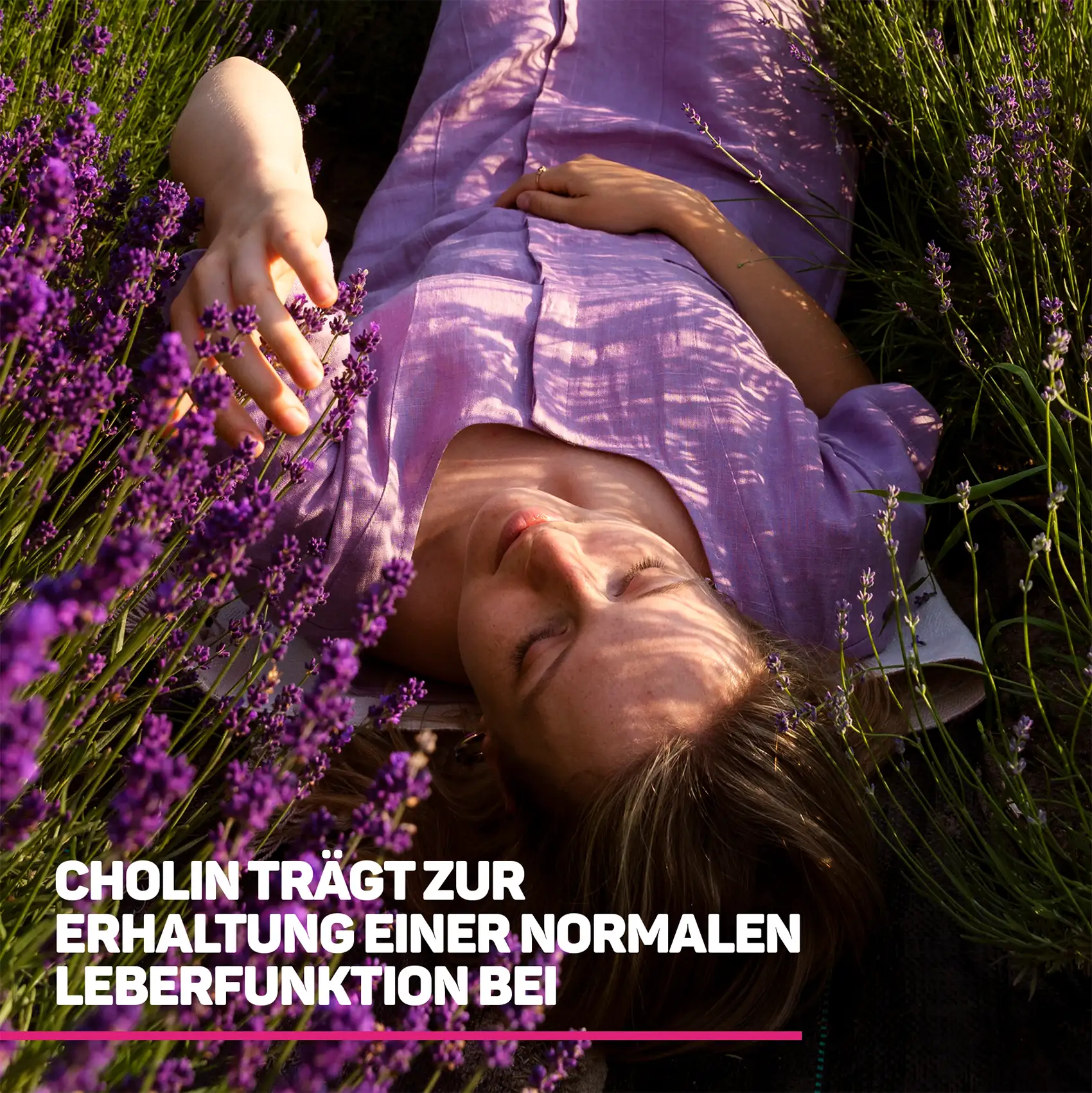 Leber Komplex Tropfen Leberfunktion